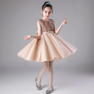 Flower Girl high end Sequin bow romantic dress